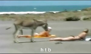 كاتيا كاشين - فلم سكسي بدون تحميل فيديو إباحي 